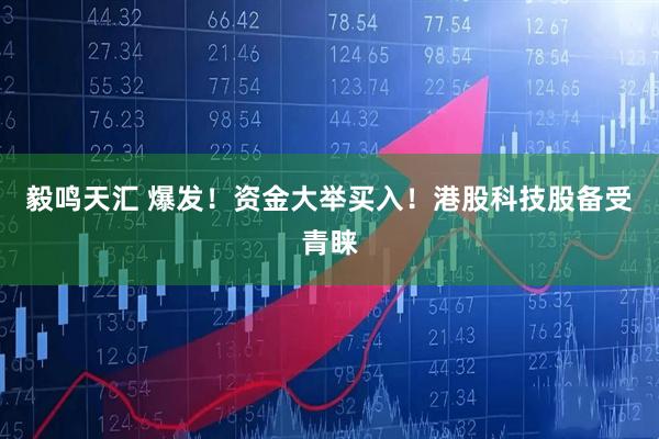 毅鸣天汇 爆发！资金大举买入！港股科技股备受青睐