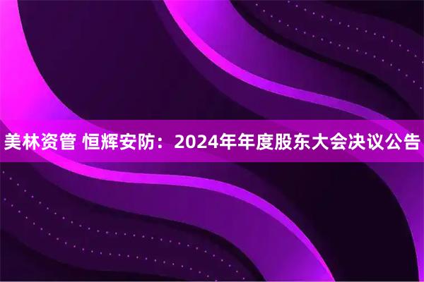 美林资管 恒辉安防：2024年年度股东大会决议公告