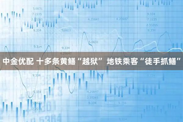 中金优配 十多条黄鳝“越狱” 地铁乘客“徒手抓鳝”