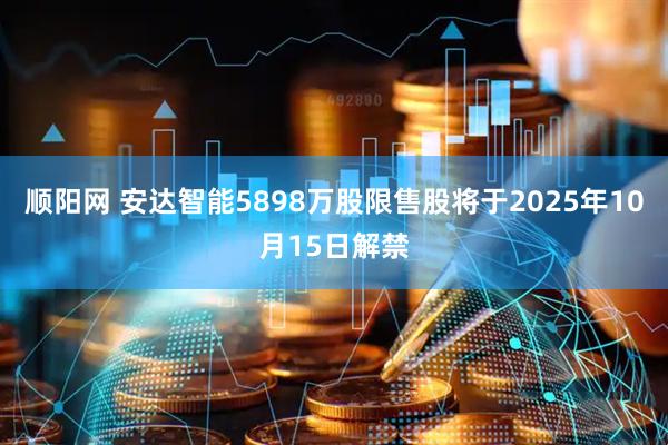 顺阳网 安达智能5898万股限售股将于2025年10月15日解禁