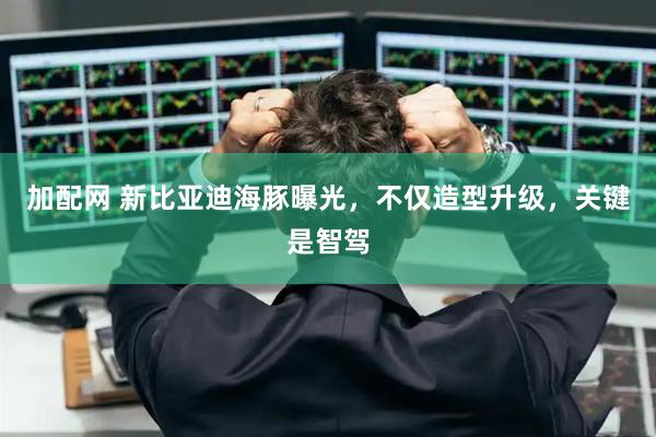 加配网 新比亚迪海豚曝光，不仅造型升级，关键是智驾