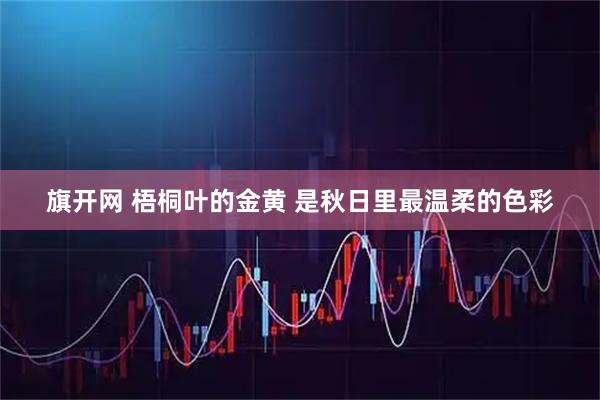 旗开网 梧桐叶的金黄 是秋日里最温柔的色彩