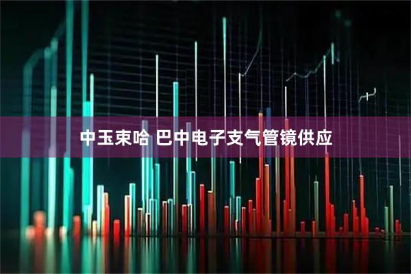 中玉束哈 巴中电子支气管镜供应